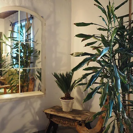 Haus Dorothee Lägenhet Sautens
