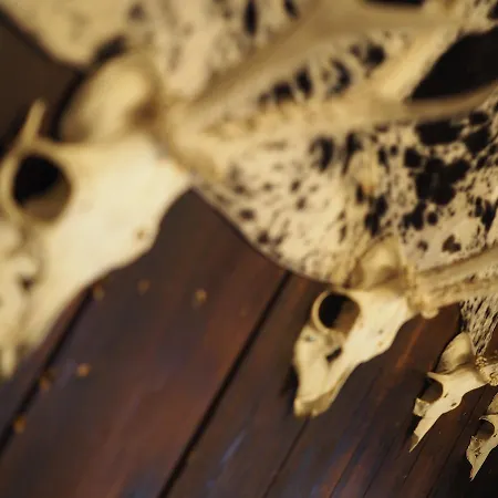 Haus Dorothee * Sautens