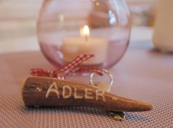 Apartment Haus Dorothee Sautens