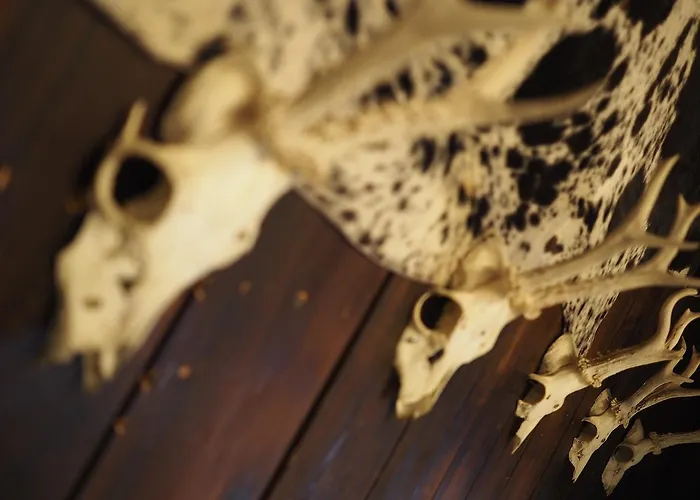 Haus Dorothee * Sautens